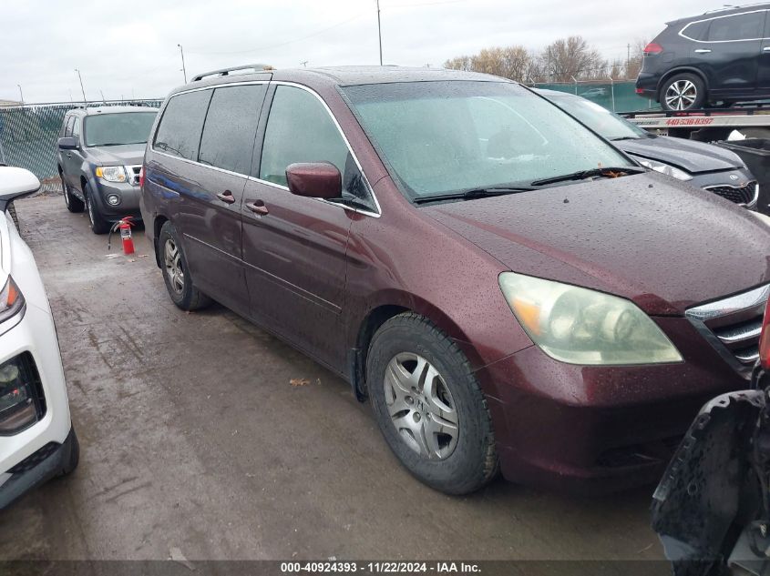 2007 Honda Odyssey Ex-L VIN: 5FNRL38737B434863 Lot: 40924393