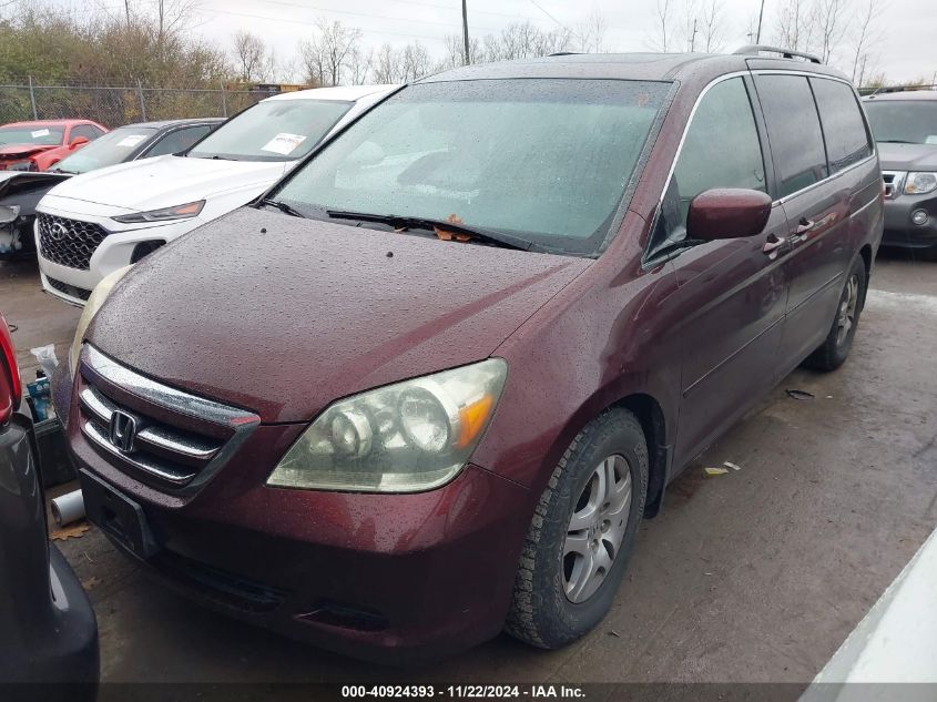 2007 Honda Odyssey Ex-L VIN: 5FNRL38737B434863 Lot: 40924393