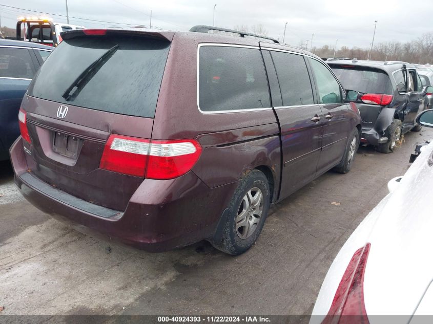 2007 Honda Odyssey Ex-L VIN: 5FNRL38737B434863 Lot: 40924393