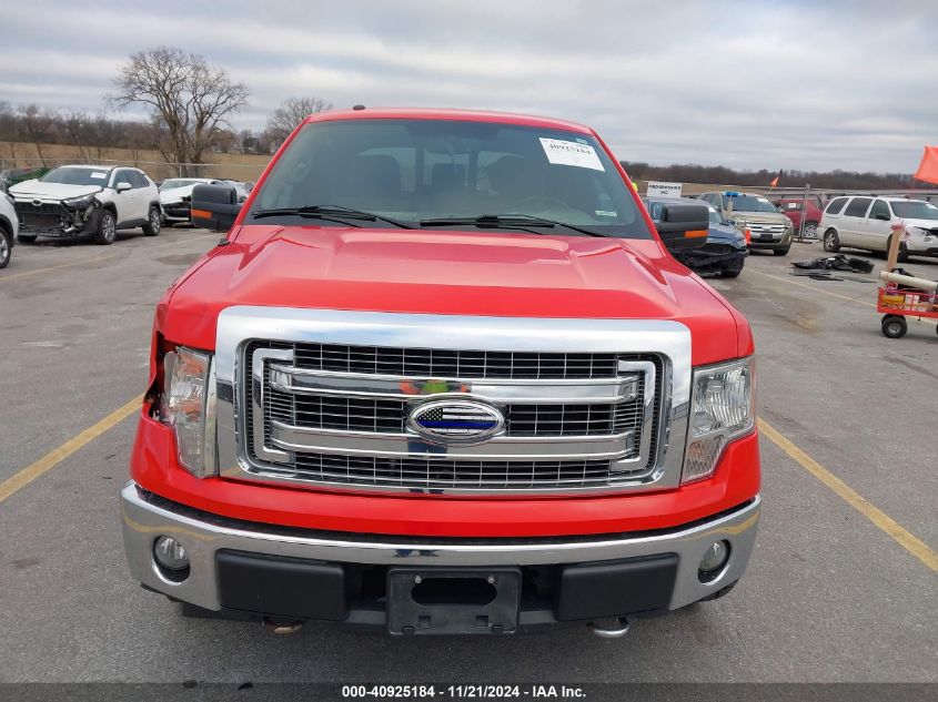 2013 Ford F-150 Xlt VIN: 1FTFW1EF3DKF83783 Lot: 40925184