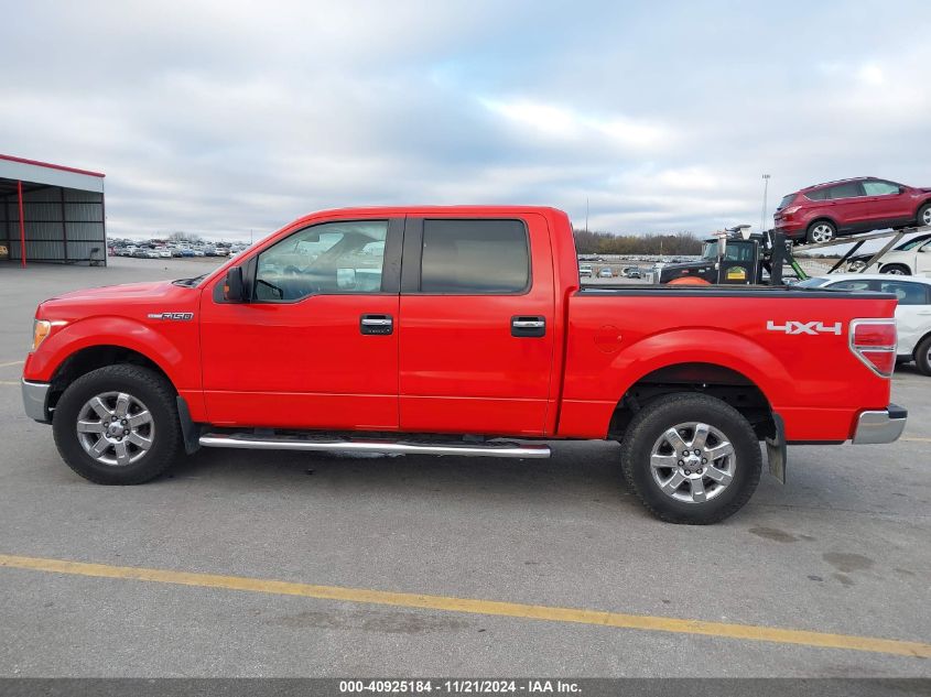 2013 Ford F-150 Xlt VIN: 1FTFW1EF3DKF83783 Lot: 40925184