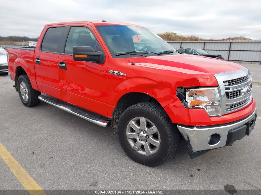 2013 Ford F-150 Xlt VIN: 1FTFW1EF3DKF83783 Lot: 40925184