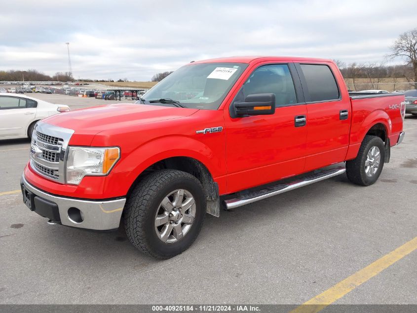 2013 Ford F-150 Xlt VIN: 1FTFW1EF3DKF83783 Lot: 40925184