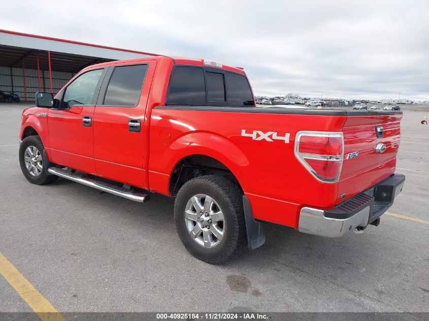 2013 FORD F150 VIN: 1FTFW1EF3DKF83783