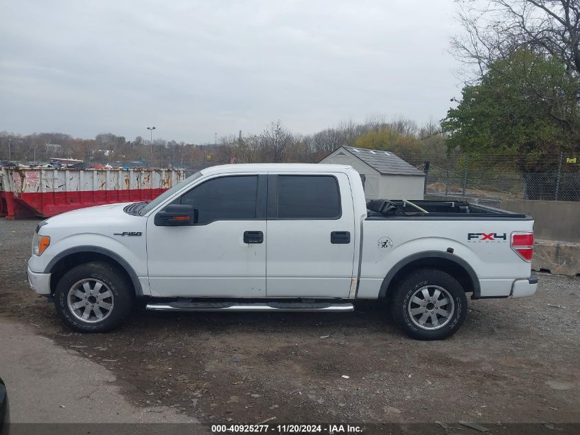 2009 Ford F-150 Fx4/King Ranch/Lariat/Platinum/Xl/Xlt VIN: 1FTPW14V69FB35213 Lot: 40925277