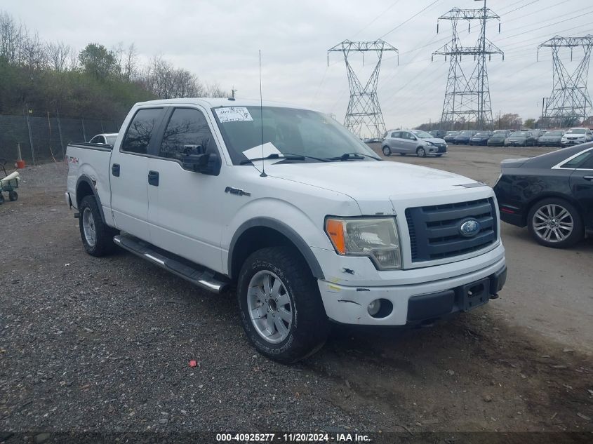 2009 Ford F-150 Fx4/King Ranch/Lariat/Platinum/Xl/Xlt VIN: 1FTPW14V69FB35213 Lot: 40925277