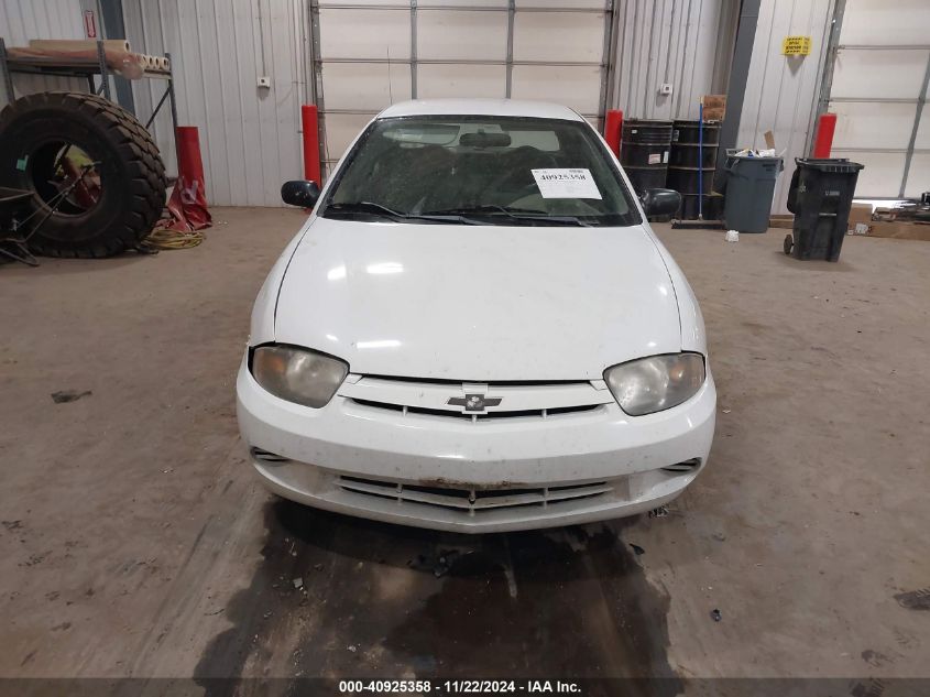 2004 Chevrolet Cavalier VIN: 1G1JC52F047290496 Lot: 40925358