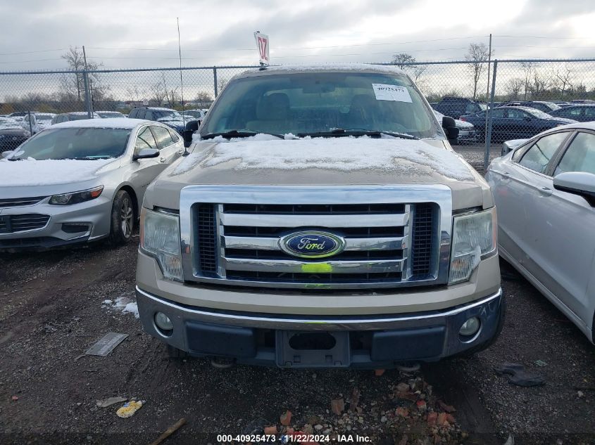 2010 Ford F-150 Stx/Xl/Xlt VIN: 1FTEX1E88AFA80054 Lot: 40925473