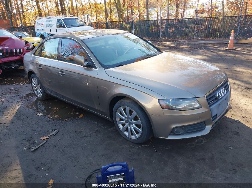 2010 Audi A4 2.0T Premium VIN: WAUFFAFL1AN013938 Lot: 40926815