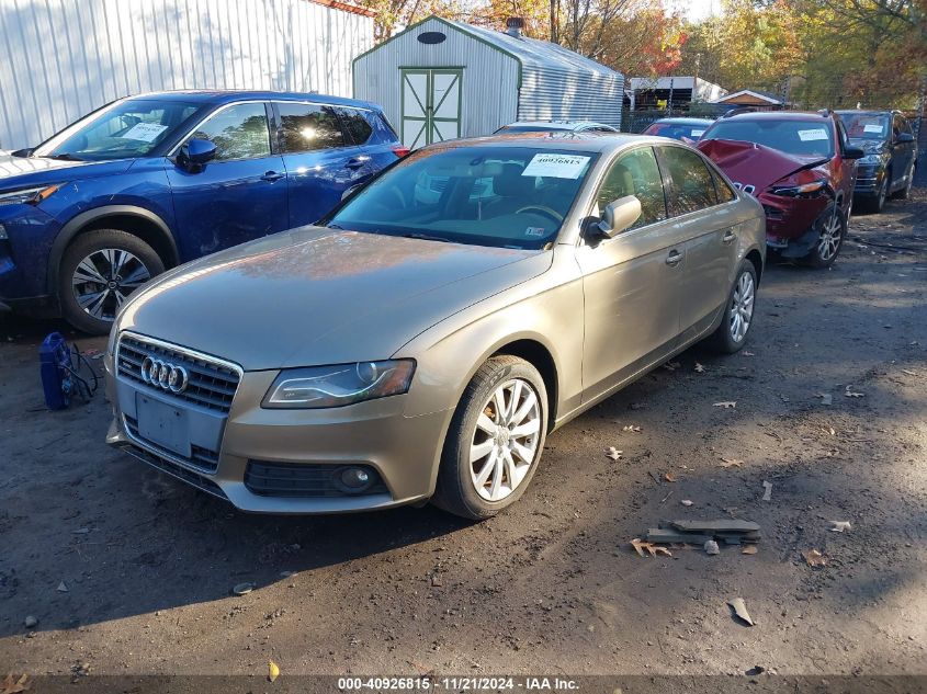 2010 Audi A4 2.0T Premium VIN: WAUFFAFL1AN013938 Lot: 40926815