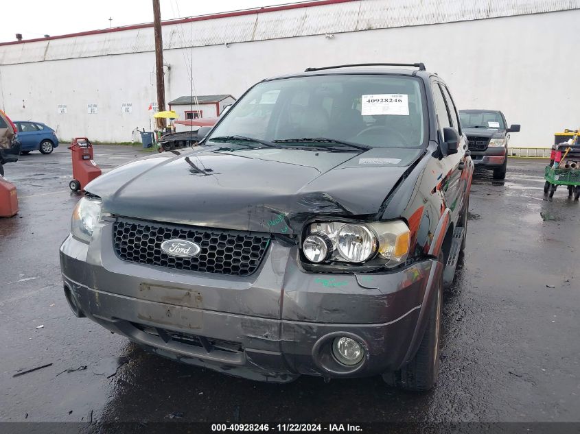 2005 Ford Escape Xlt VIN: 1FMCU93155KC21787 Lot: 40928246