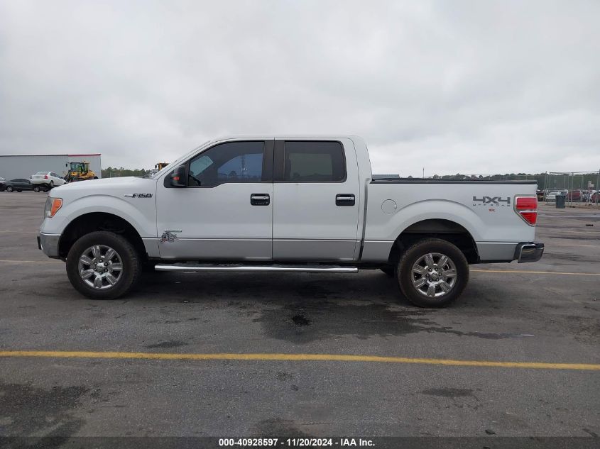 2011 Ford F-150 Xlt VIN: 1FTFW1ET4BKE17937 Lot: 40928597