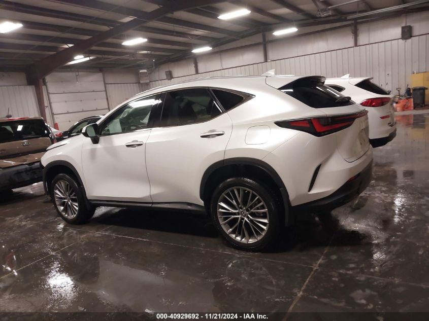 2022 Lexus Nx 350 Luxury VIN: 2T2HGCEZ7NC010069 Lot: 40929692