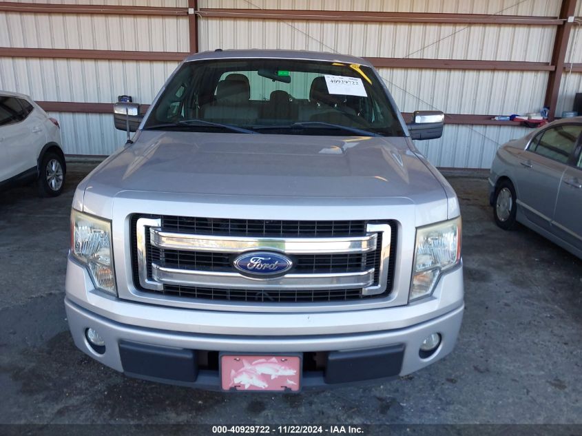 2013 Ford F-150 Stx VIN: 1FTFX1CF1DFD64104 Lot: 40929722