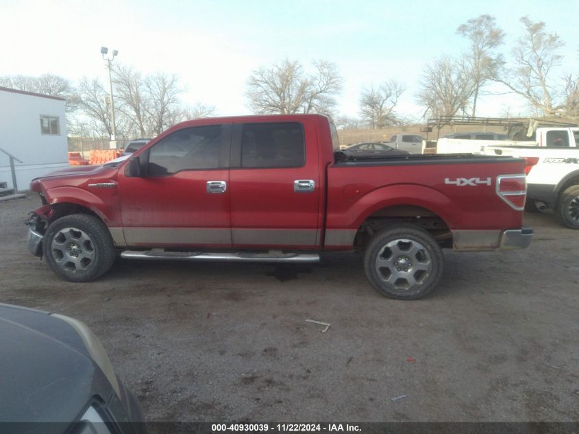 2009 Ford F-150 Xlt VIN: 1FTPW14V69FA20496 Lot: 40930039