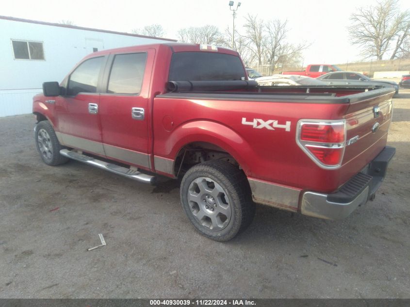 2009 Ford F-150 Xlt VIN: 1FTPW14V69FA20496 Lot: 40930039