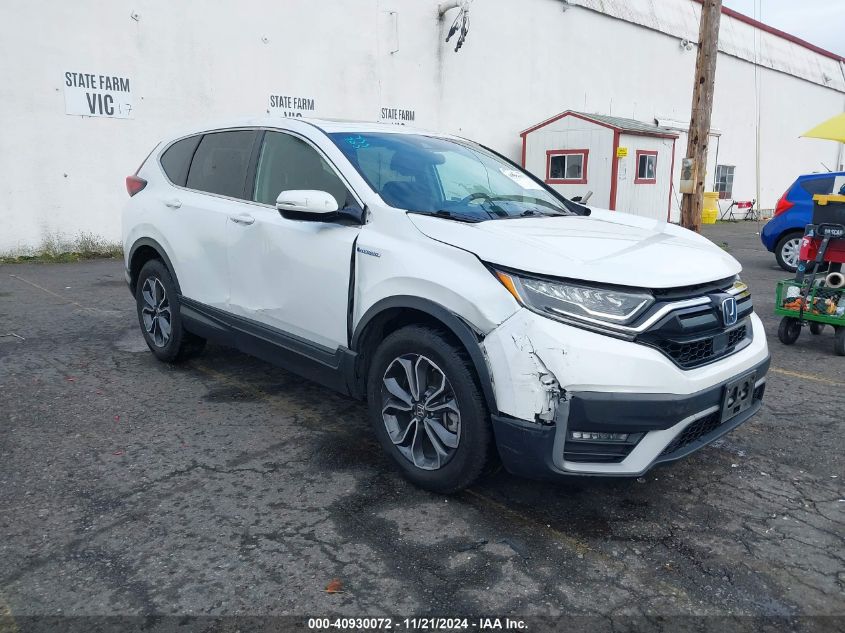 2020 HONDA CR-V EX - 7FART6H58LE022601