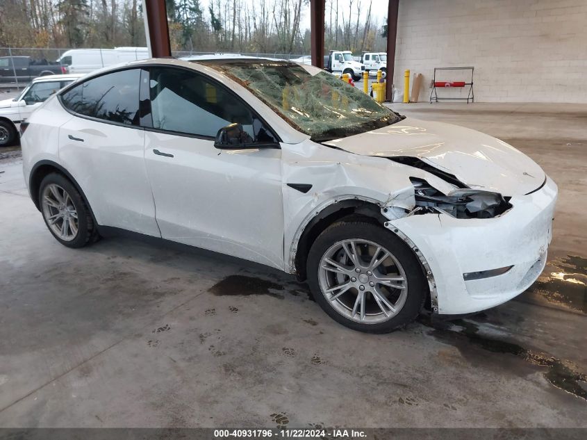 VIN 5YJYGDEE6MF117891 2021 Tesla Model Y, Long Rang... no.1