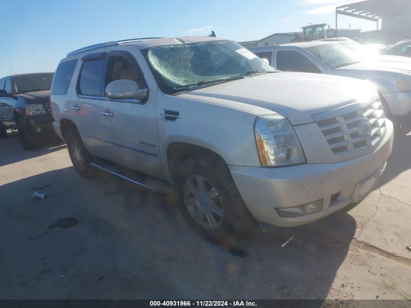 2011 Cadillac Escalade Standard VIN: 1GYS3AEF0BR186456 Lot: 40931966