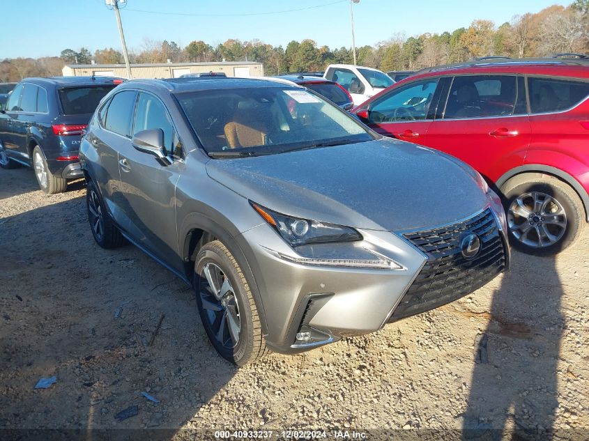 2019 Lexus NX, 300H