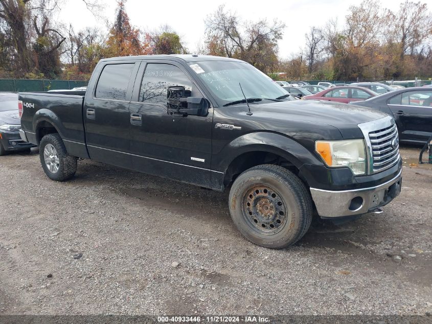 2012 Ford F-150 Xlt VIN: 1FTFW1ET2CKE30011 Lot: 40933446