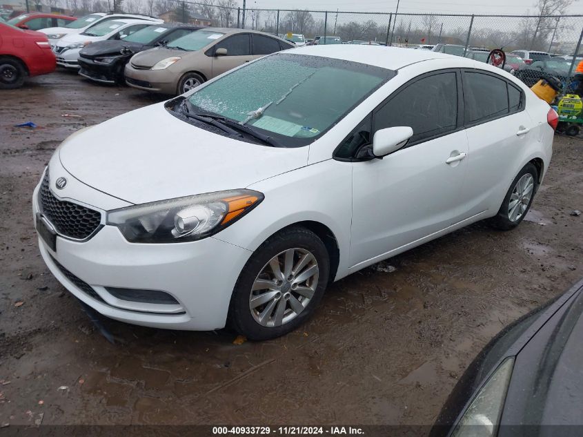 2014 Kia Forte Lx VIN: KNAFX4A62E5239282 Lot: 40933729