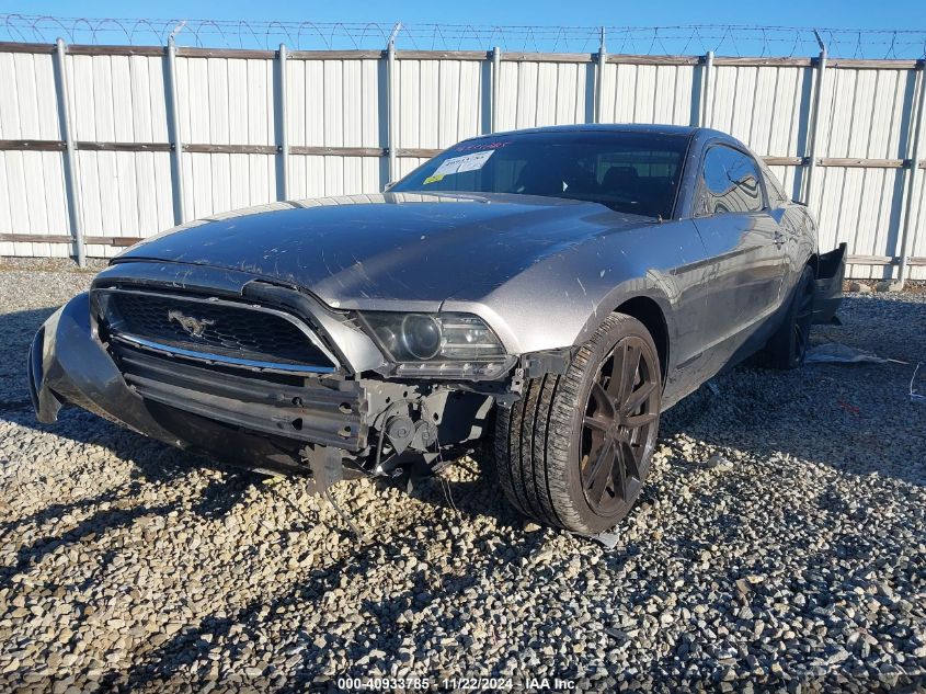 2014 FORD MUSTANG V6 - 1ZVBP8AM1E5218928