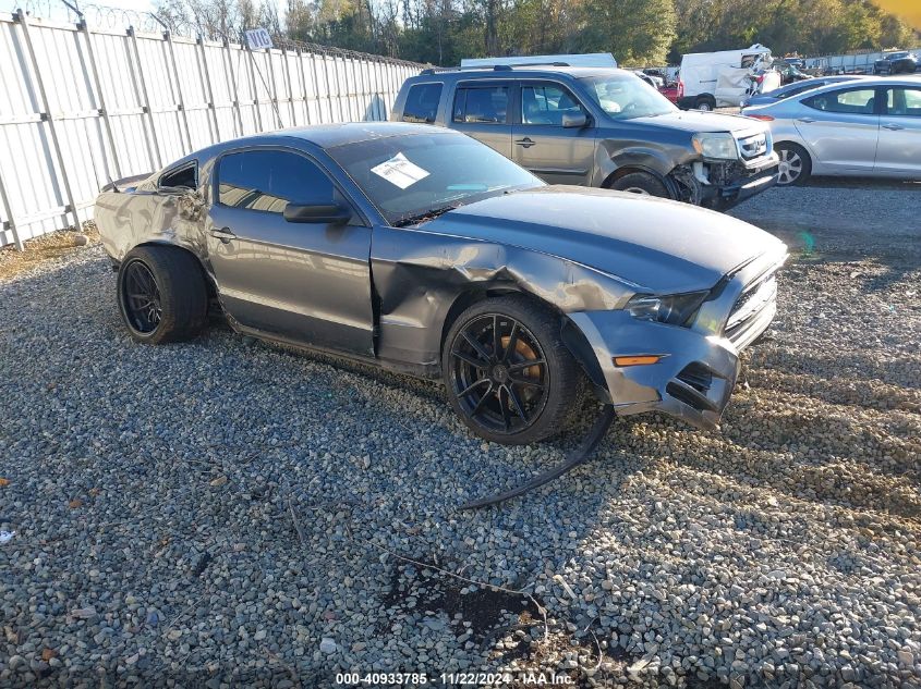 2014 FORD MUSTANG V6 - 1ZVBP8AM1E5218928