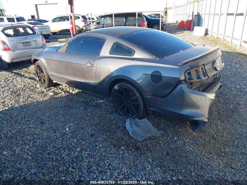 2014 FORD MUSTANG V6 - 1ZVBP8AM1E5218928