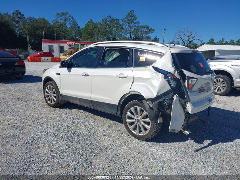 VIN 1FMCU0JD1HUE29540 2017 FORD ESCAPE TITANIUM