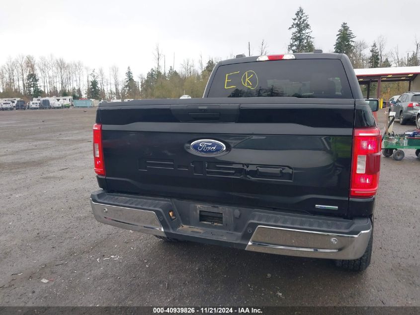 2023 FORD F-150 XLT - 1FTFW1E80PFC47507