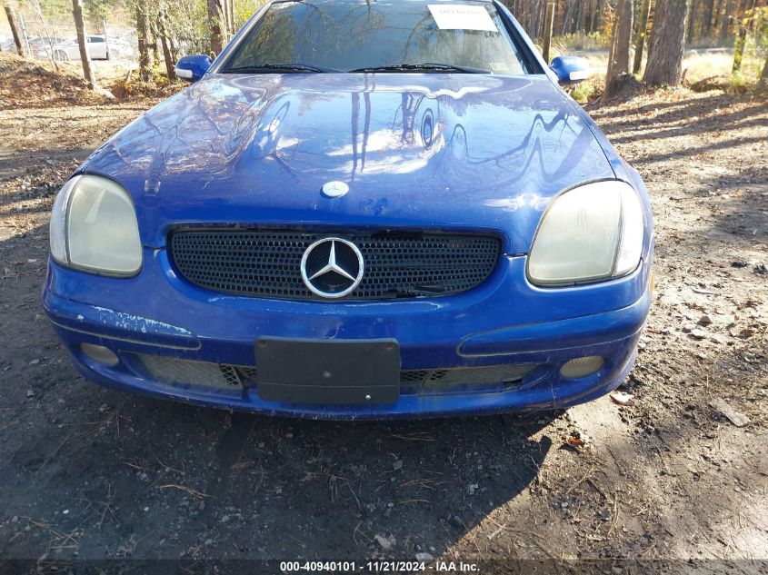 2002 Mercedes-Benz Slk 230 Kompressor VIN: WDBKK49F52F250821 Lot: 40940101