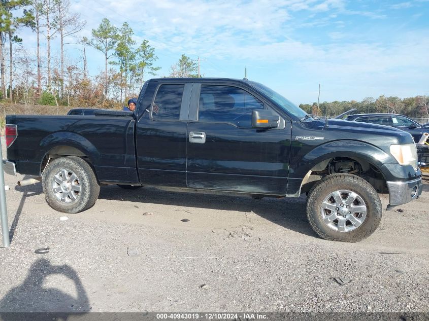 VIN 1FTFX1EF4DFE09064 2013 FORD F-150 no.13