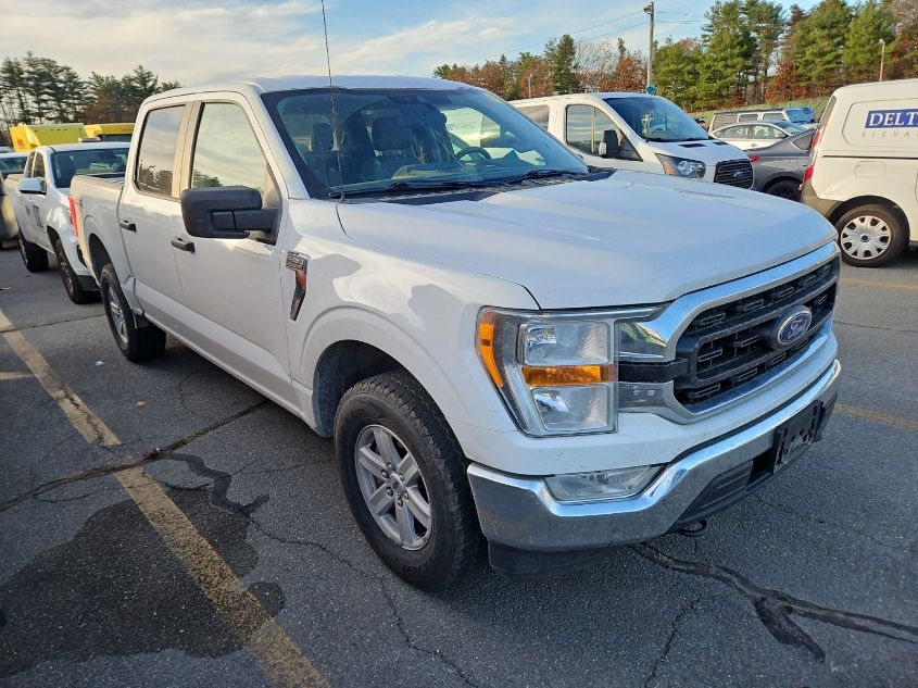 2021 Ford F150 Supercrew VIN: 1FTEW1EP8MFB03718 Lot: 40943782