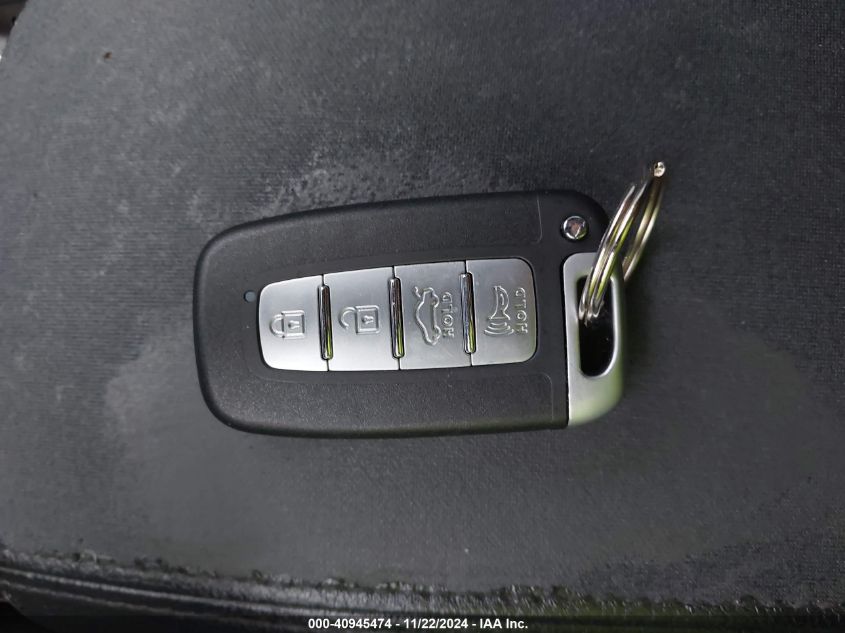 2014 Kia Cadenza Premium VIN: KNALN4D76E5144981 Lot: 40945474