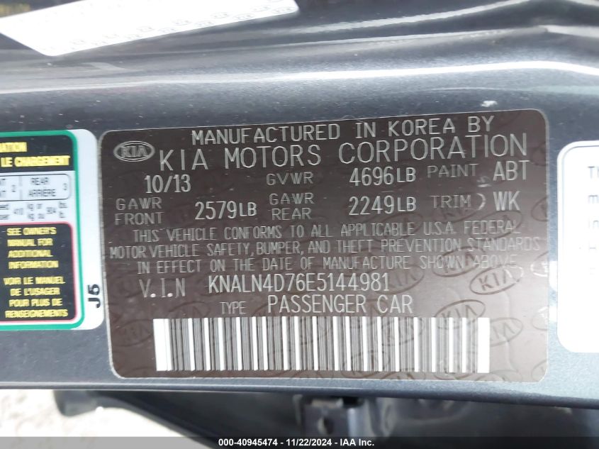 2014 Kia Cadenza Premium VIN: KNALN4D76E5144981 Lot: 40945474