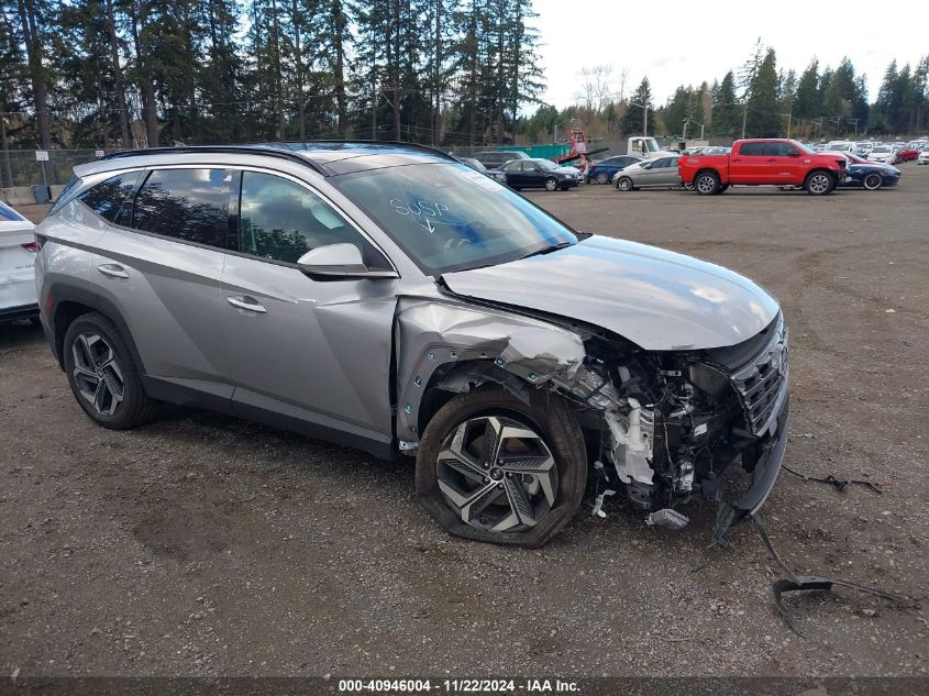 2023 Hyundai Tucson Limited VIN: 5NMJECAE9PH175262 Lot: 40946004