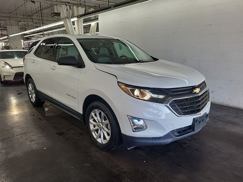 2019 Chevrolet Equinox Ls VIN: 2GNAXHEV9K6248350 Lot: 40947499