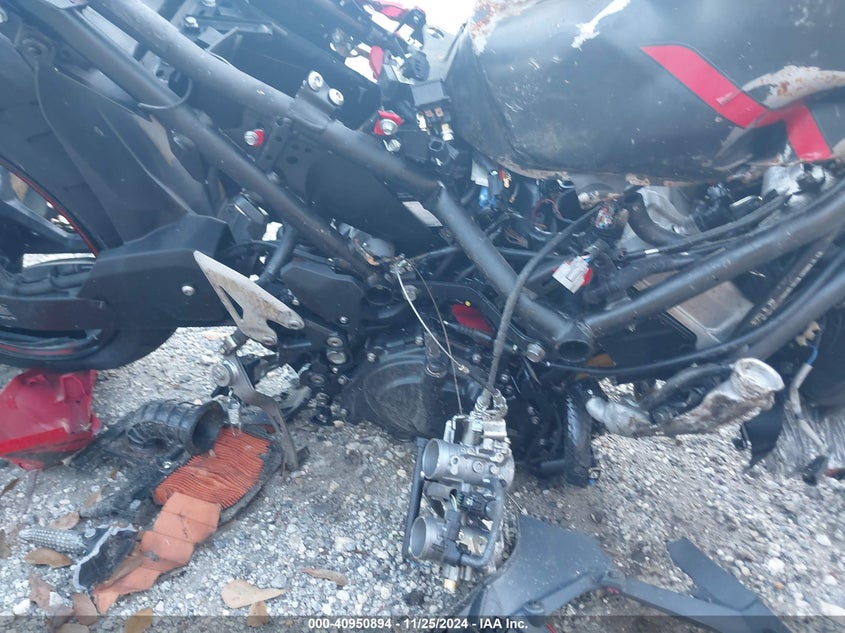 2024 KAWASAKI EX500 - ML5EXGG15RDA29120