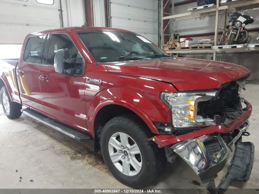 VIN 1FTFW1E42KKE00871 2019 FORD F-150 no.1