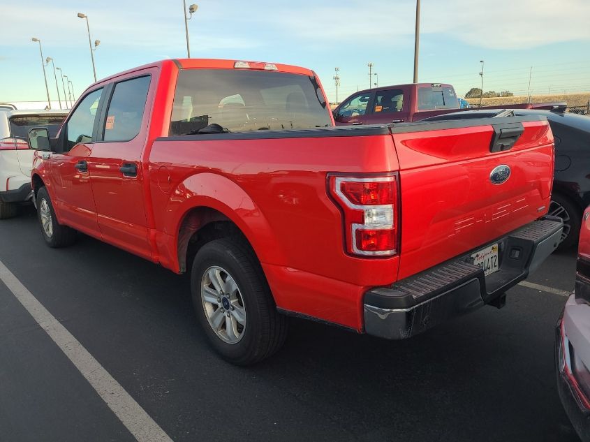 2019 Ford F-150 Xl VIN: 1FTEW1C45KKD31236 Lot: 40955083