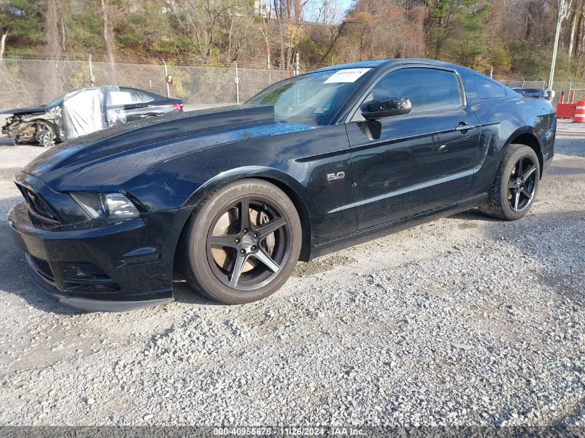 VIN 1ZVBP8CF1D5240974 2013 Ford Mustang, GT no.2