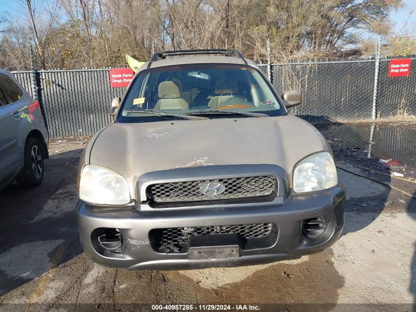 2004 Hyundai Santa Fe VIN: KM8SB12B44U715722 Lot: 40957285