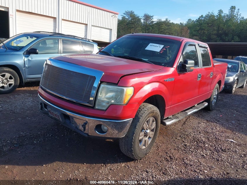2010 FORD F150 VIN: 1FTEW1C83AFA51423