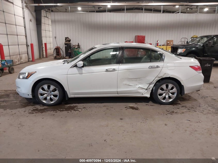 2010 HONDA ACCORD VIN: 1HGCP3F8XAA000835