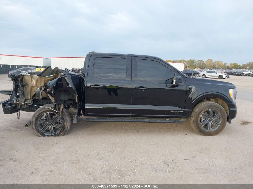 2023 FORD F-150 XLT - 1FTFW1ED1PFD08781