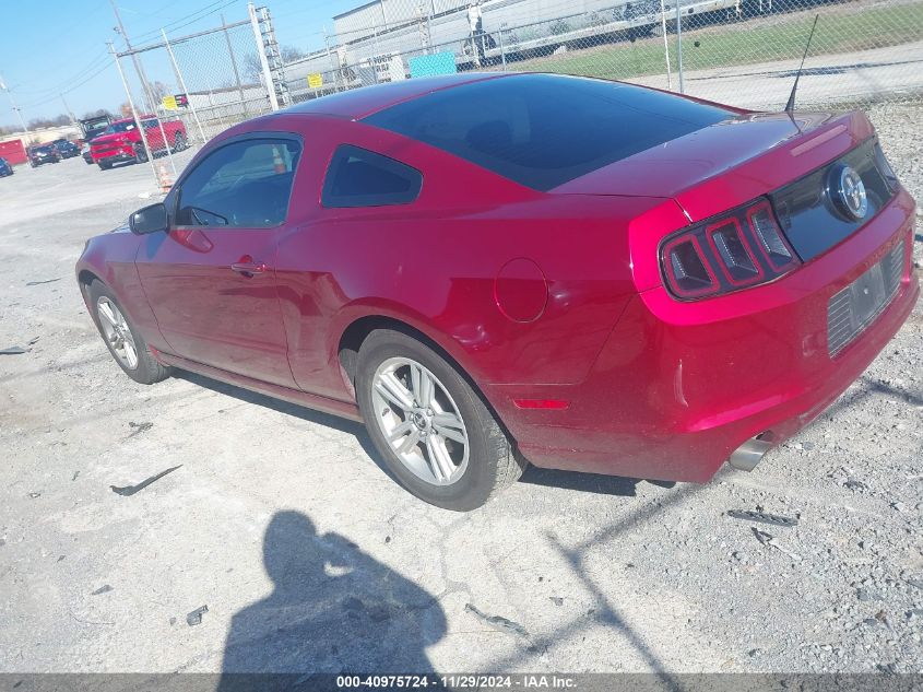 VIN 1ZVBP8AM1E5330497 2014 Ford Mustang, V6 no.3