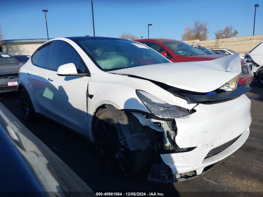 2023 Tesla Model Y VIN: 7SAYGDEF9PF710712 Lot: 40981954