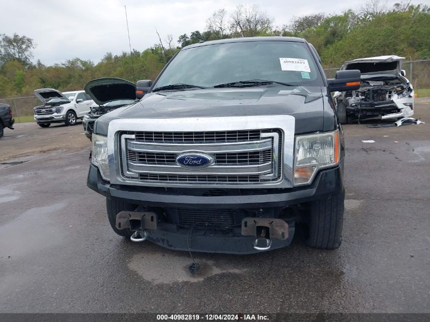 VIN 1FTFX1ET0EFB11845 2014 FORD F-150 no.12