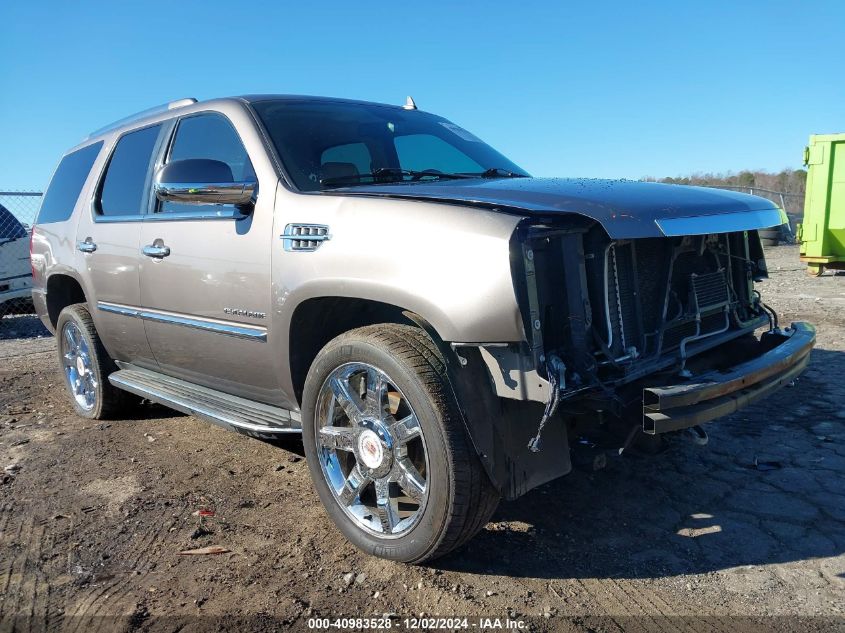 2011 Cadillac Escalade Luxury VIN: 1GYS3BEF1BR178937 Lot: 40983528